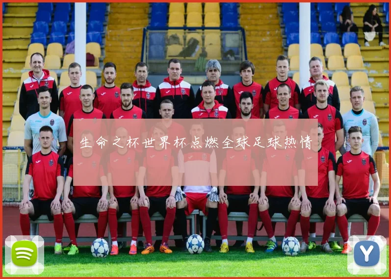 生命之杯世界杯点燃全球足球热情