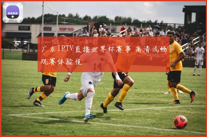 广东IPTV直播世界杯赛事 高清流畅观赛体验佳