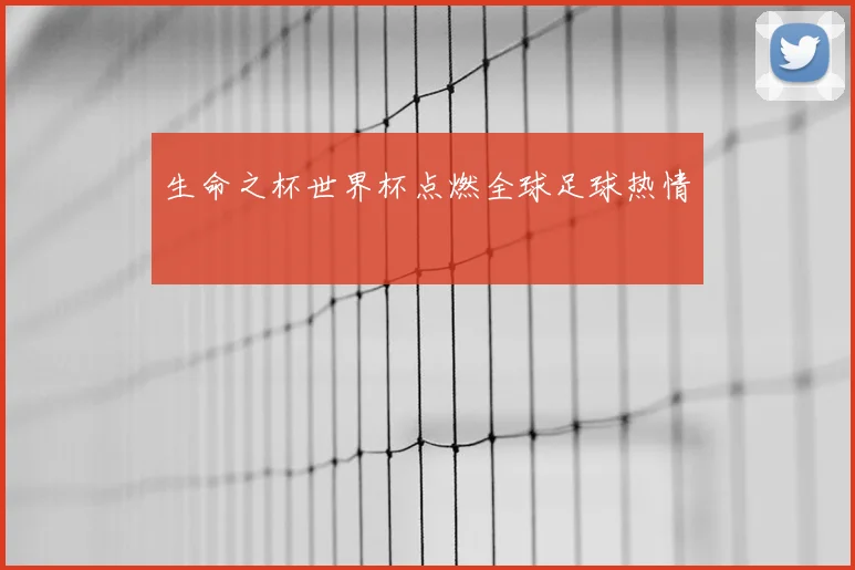生命之杯世界杯点燃全球足球热情