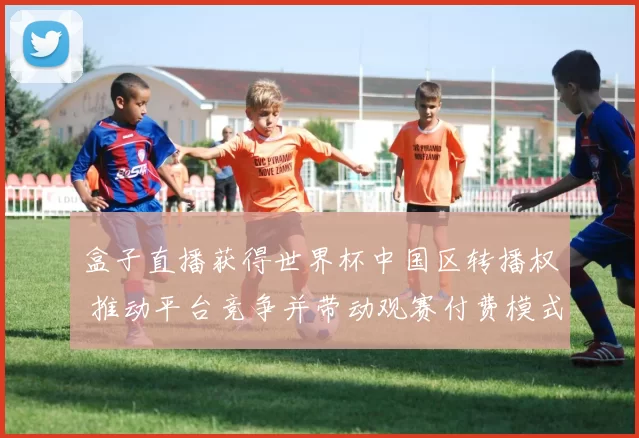 盒子直播获得世界杯中国区转播权 推动平台竞争并带动观赛付费模式调整