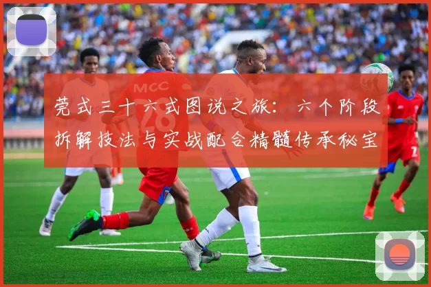 莞式三十六式图说之旅：六个阶段拆解技法与实战配合精髓传承秘宝