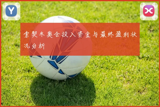 索契冬奥会投入资金与最终盈利状况分析