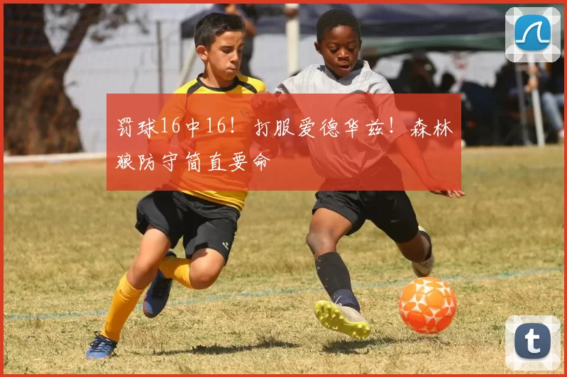 罚球16中16！打服爱德华兹！森林狼防守简直要命