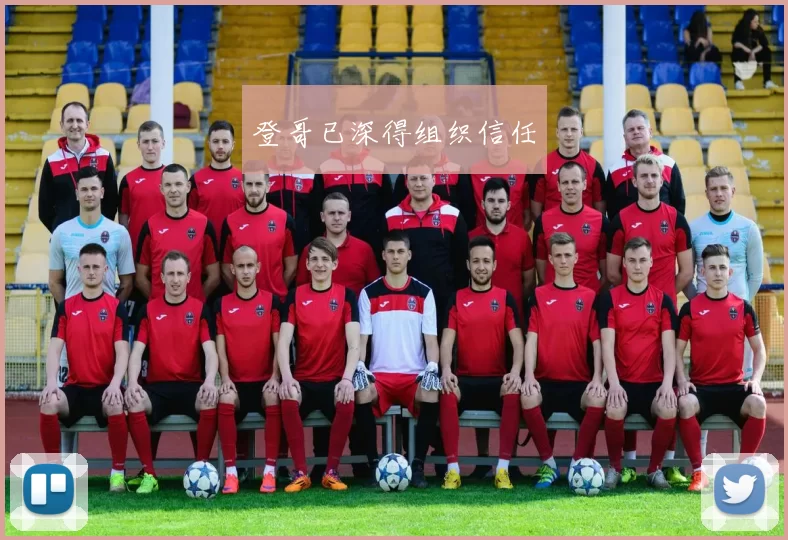 登哥已深得组织信任