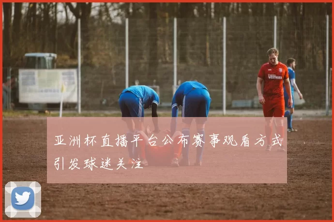 亚洲杯直播平台公布赛事观看方式引发球迷关注