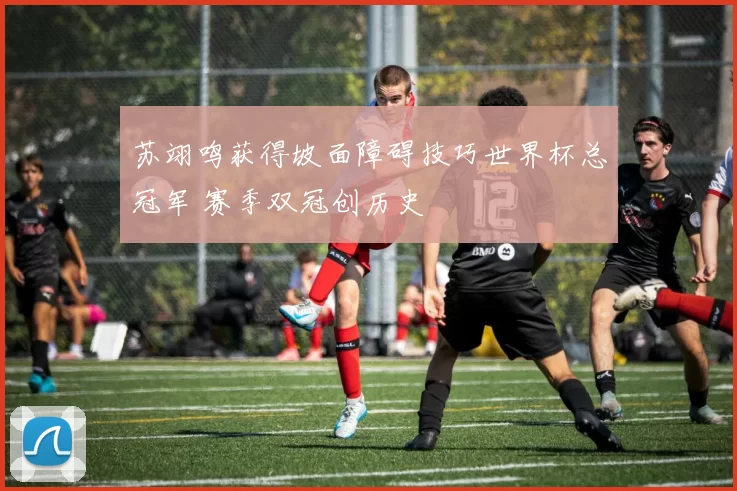 苏翊鸣获得坡面障碍技巧世界杯总冠军 赛季双冠创历史